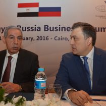Chairman of the Russian Egyptian Business Council